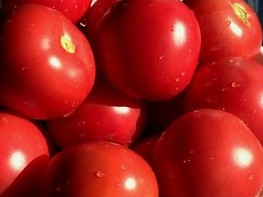 Tomatoes